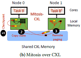 Mitosis-CXL